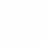 Arc audio logo