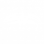 wet sounds logo